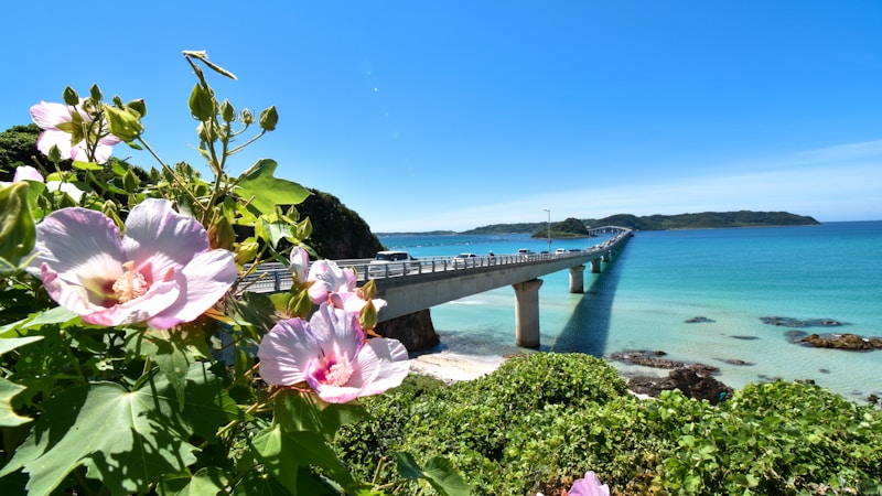 夏休みの九州旅行におすすめのスポット特集|大人女性も楽しめる人気おでかけ先を厳選